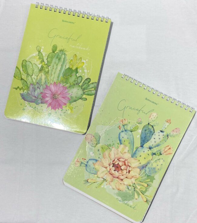 Блокнот А5 146х206мм, 60л, клетка, BRAUBERG, Суккуленты