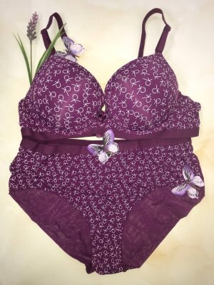 Комплект нижнего белья BRAS 18564#D