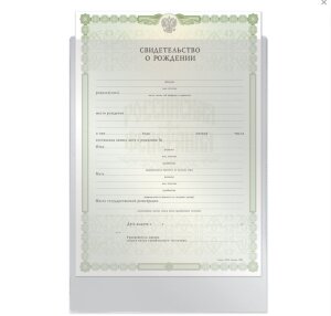 Папка-файл для свидетельства о рождении, 190х263 мм, без отверстий, ДПС