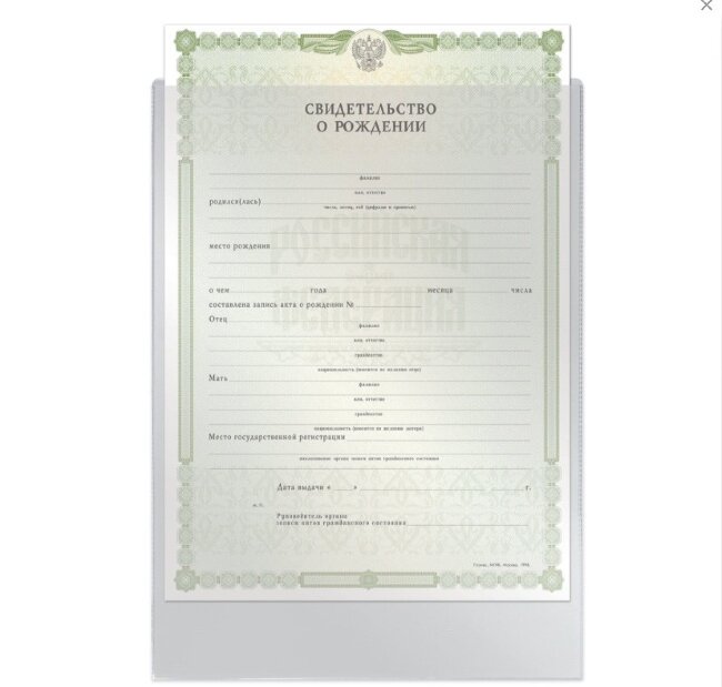 Папка-файл для свидетельства о рождении, 190х263 мм, без отверстий, ДПС