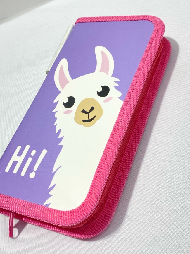 Пенал ПИФАГОР, 1 отделение, ламинированный картон, 19х9 см, Llamaste