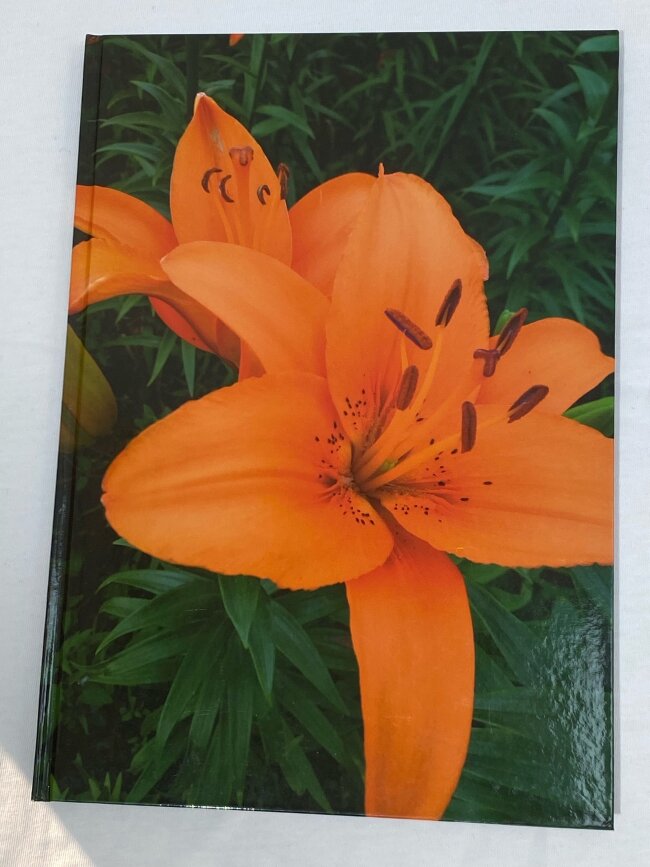 Тетрадь в клетку твердая обложка А 4 96 листов