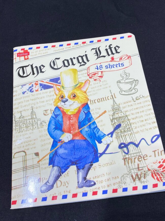 Тетрадь А5 48л. HATBER скоба, клетка, обложка картон, Корги_LIFE