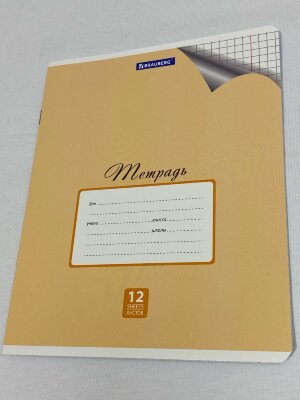 Тетрадь 12л. BRAUBERG ЭКО клетка, ПАСТЕЛЬНАЯ С УГОЛКОМ