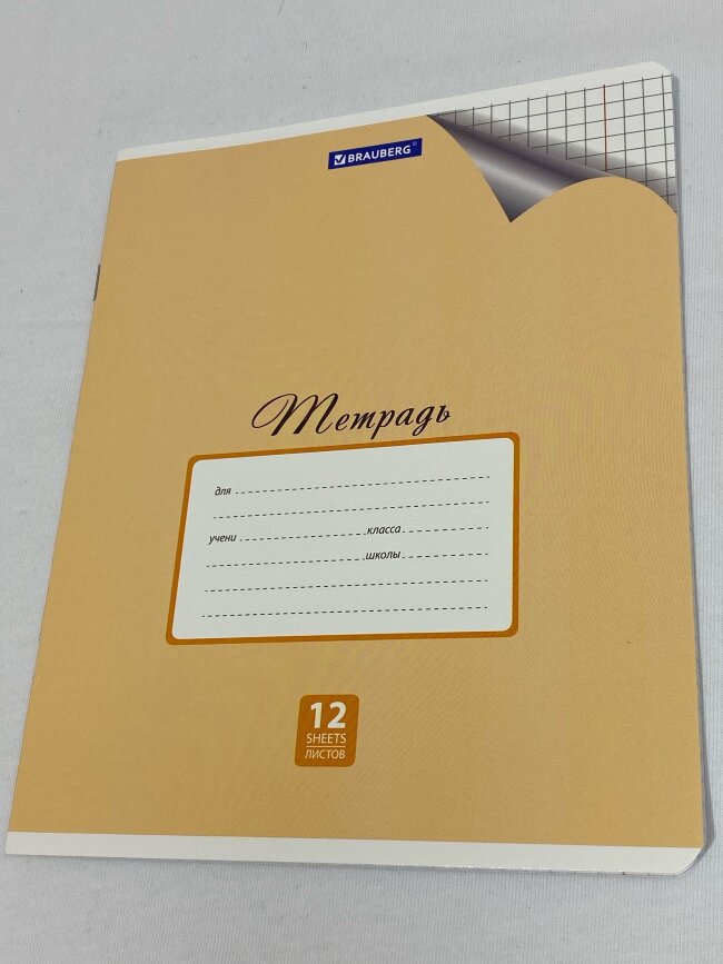 Тетрадь 12л. BRAUBERG ЭКО клетка, ПАСТЕЛЬНАЯ С УГОЛКОМ