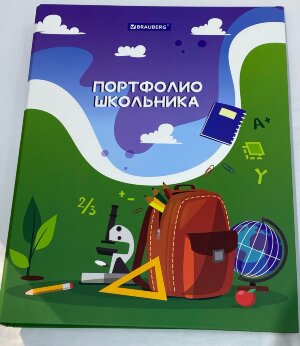 Папка для портфолио школьника, 4 кольца, обложка твёрдая матовая, BRAUBERG, ШКОЛЬНАЯ ИСТОРИЯ