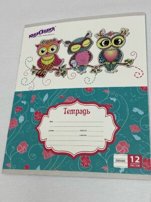 Тетрадь 12л. ЮНЛАНДИЯ линия, "УМНЫЕ СОВЫ"
