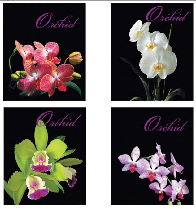 Тетрадь А5 48л. BRAUBERG клетка, ОРХИДЕИ