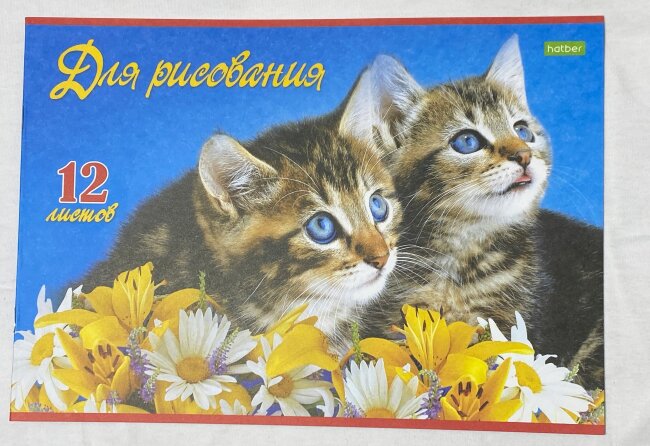 Альбом д/рис. А4 12л., HATBER VK Верные друзья