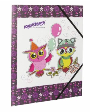 Папка на резинках ЮНЛАНДИЯ "Умные совы, А4, цветная печать